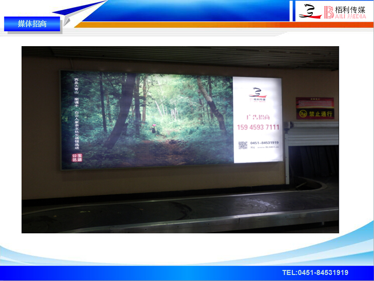 哈爾濱機(jī)場(chǎng)燈箱、單立柱